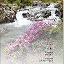 다시봄날 - 남양주시 마석중앙로 42-1 | 다시봄날