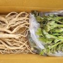 혜성농장 이미지