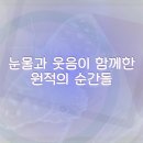 사랑의 하모니 | 분당구 웨딩드레스 투어 후기 총정리