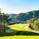 클럽디거창 이미지