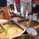 서울신북초등학교 이미지