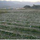 대남농장 이미지