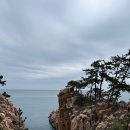 [국내여행] 울산 - 대왕암 공원 출렁다리 산책로 바윗길 단체여행