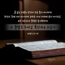 복있는교회 이미지
