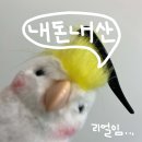 &#39;파스타랑 파티 기획세트&#39; 농심몰 1000개 한정판으로 파티한 후기