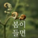 행복한둥지마트 이미지