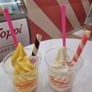 Cube House 앞 | 보홀 맛집 추천 리스트! 라모이, 우베코, 레드하우스, 할로망고, 토피토피, 노스젠 조식, 보홀 비팜...
