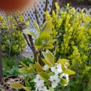 경인무예원 이미지