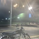 [경주에서한달살기] Domi 도미 _ n번째 방문후기 / 쫄깃한 도우 피자추천