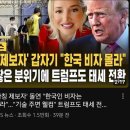 토리 브래넘 “난 한국인 비자 신고 안했다“ 빤스런 이미지