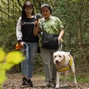 펫문화클럽 이미지