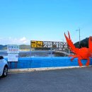 남해-203 이미지