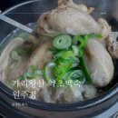 [가리왕산 약초백숙] 원주 삼계탕 맛집 방문 후기