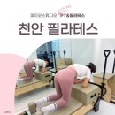 월 강좌(5월) / 바른 몸 만들기 ’필라테스’ | 천안 두정동 필라테스 pt 피지오스튜디오 눈부신 성장 후기