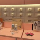 하파크리스틴 강남역점 이미지