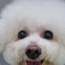 신천동물병원 이미지