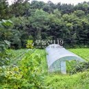 동리 농장 이미지