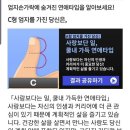 요거해 이미지