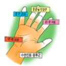 대한안전관리본부