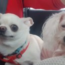 용진농장 이미지