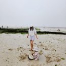 하화도 화장실 및 샤워장 | 제주 금능해수욕장 아기와 물놀이 모래놀이 후기 및 주차 샤워장 화장실 정보