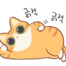캠핑중DOG 이미지