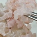경남 고성 맛집 ...남해안의 쫄깃한 회를 맛볼 수 있는 경남 고성 횟집 공룡알 횟집