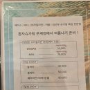 다뽑자 | 시흥왁싱 뽑자슈가링 시흥은계점 브라질리언 솔직 후기