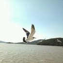 홍성고등학교 이미지