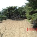 개전리목장 네이버블로그