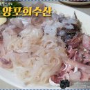 양포회수산