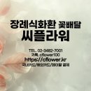 시화병원장례식장 | 경기 시흥시 시화병원장례식장 근조화환 당일배송