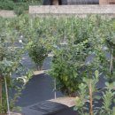 고바우농장 이미지