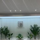 청담에프엔비의원 이미지