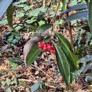 1-17 공중화장실 | 제주도 여행일지 5박 6일 2️⃣ (친구랑 이틀, 혼자 4일)+편도 수술 17일차 ~ 20일차