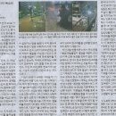 글로벌창