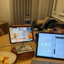 (주)가이아 | 포르투 힐튼 가이아, 에어비앤비 포르투갈 숙소 비교
