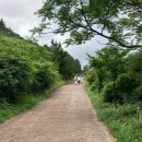 허니문:)제주 연못품은 금오름:서귀포매일올레시장 랍스터구이 위치:서귀포올레시장먹거리