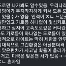 미국 차량들이 오버 헤드 라이트를 장착하는 이유 이미지