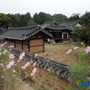 담장너머 이미지