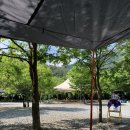 무릉도원면-33 이미지