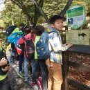 향남초등학교 이미지