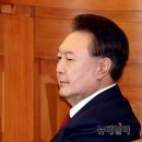 드리고 이미지