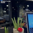 셀렉트짐 PT & 헬스 광화문점 이미지