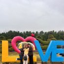 비가와도 좋았던, &#34;신안 임자도 튤립축제&#34; 대만족 후기 (가족여행+데이트 추천, 튤립축제 입장료, 주차...
