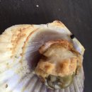 성곡오색별빛마을 이미지