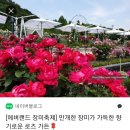 용인특례시 사진2 - 에버랜드, 민속촌 대표 관광지 이미지