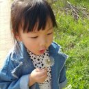 마망 엘리펀트 이미지