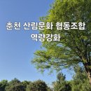 [역량 강화] 숲에서 전래놀이-춘천 산림문화협동조합-더 그루-어울림 놀이문화- 고정선강사