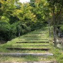 꼬미엔소 이미지